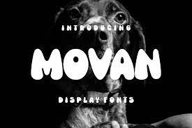 Movan Font
